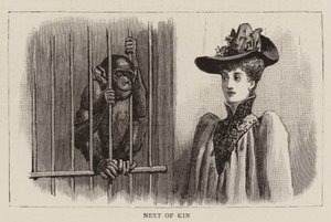 Errances dans le zoo